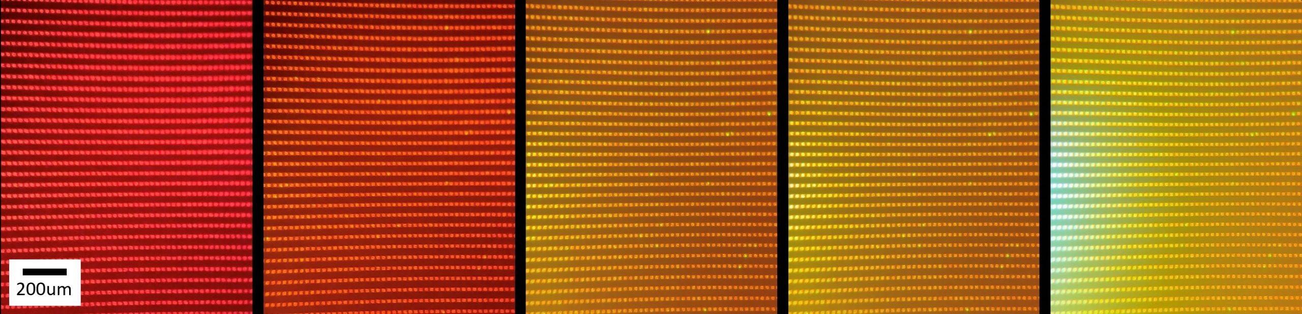 Q-Pixel Inc. Launches Its Breakthrough Q-Transfer Technology