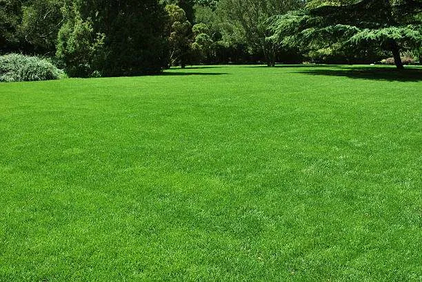 LawnWorks Lawn Care Educates Homeowners on the Benefits of Liquid Aeration
