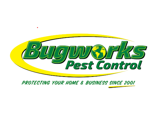 Bugworks Pest Control Highlights Scorpion Exterminator Services in The Desert