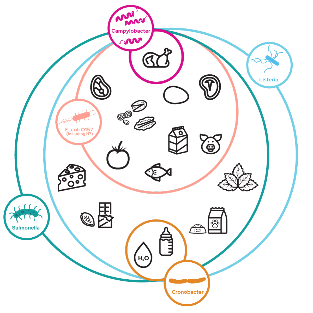 Biolog Lab Services Enters Food Safety Arena to Combat Pathogen Risks