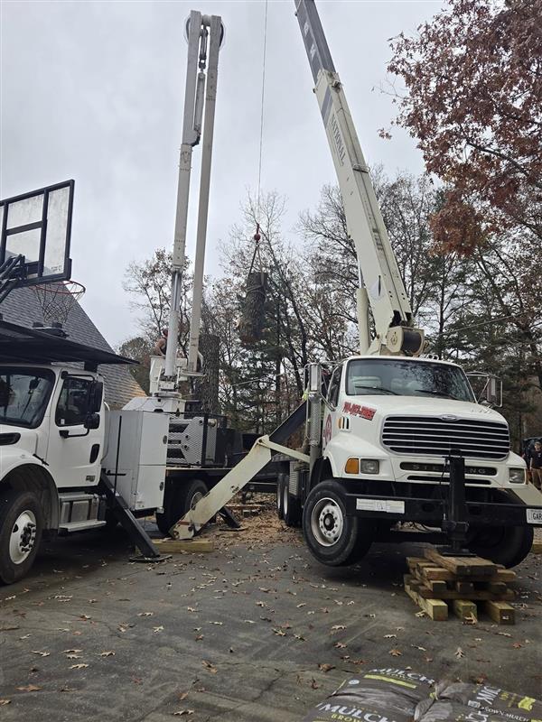 Bark Busters Tree Service Announces Enhancements to Core Services Across Tennessee and North Georgia